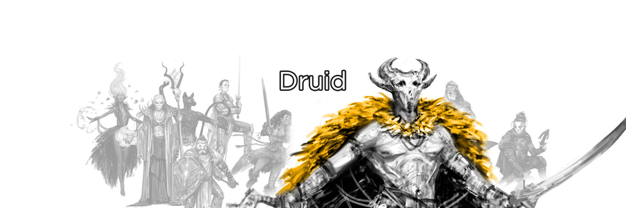 Druid