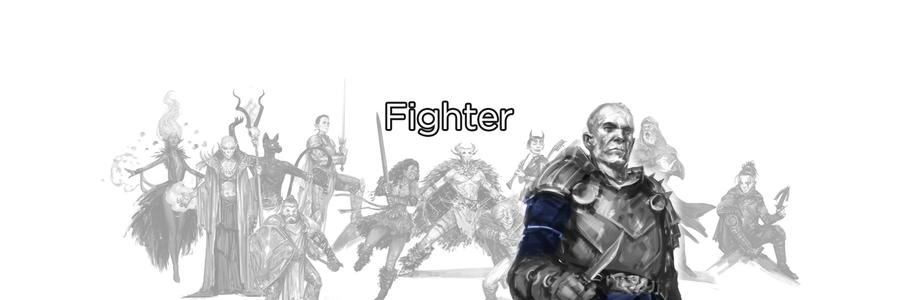 Fighter
